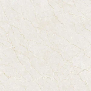CANOPUS ROYAL -  (600X1200) - GVT -  POL