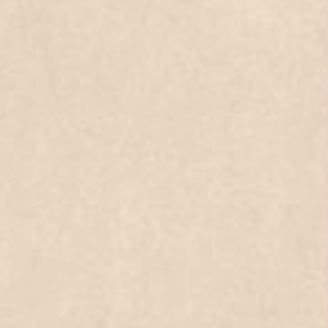 ALMOND LITE - (600X600) - GVT - CARVING