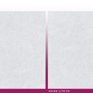 ANISE LITE - (600X600) - GVT - MATT