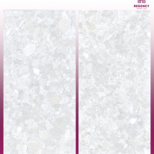 ARROWROOT -  (600X1200) - GVT - CAR