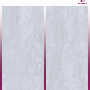 ARTSAND SILVER -  (600X1200) - GVT - POLISHED