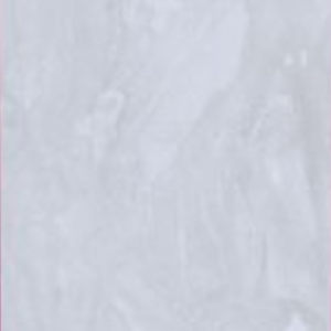 ARTSAND SILVER -  (600X1200) - GVT - POLISHED