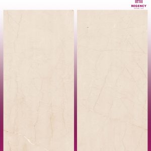 BIRCHWOOD BEIGE -  (600X1200) - GVT - POLISHED