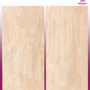 CANOPUS GOLD - (600X1200) - GVT - POL