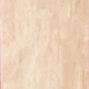 CANOPUS GOLD - (600X1200) - GVT - POL