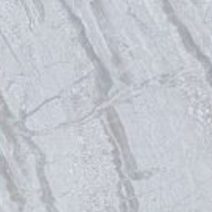 CANOPUS NERO - (600X600) - GVT - POL