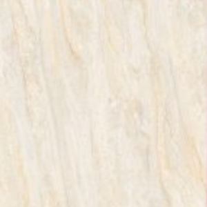 CANOPUS ROYAL - (600X600) - GVT