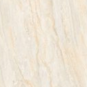 CANOPUS ROYAL - (600X600) - GVT - POL - MATT