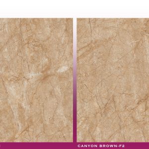CANYON BROWN - (600X600) - GVT - POL