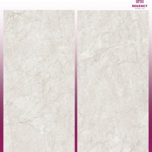CANYON GREY  -  (600X1200) - GVT - MATT
