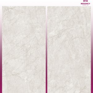 CANYON GREY -  (600X1200) - GVT - POLISHED - CAR - MATT