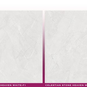 CELESTIAN STONE HEAVEN WHITE - (600X600) - GVT - MATT