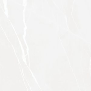 CELESTIAL STONE WHITE - (600X600) - GVT - MATT