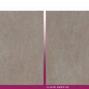 CLOVE DEEP - (600X600) - GVT - CARVING