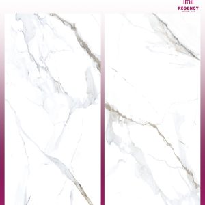 CONCH -  (600X1200) - GVT - POLISHED