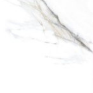 CONCH - (600X600) - GVT - POL - MATT