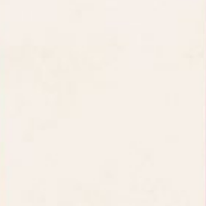 CUMIN LITE -  (600X1200) - GVT - MATT