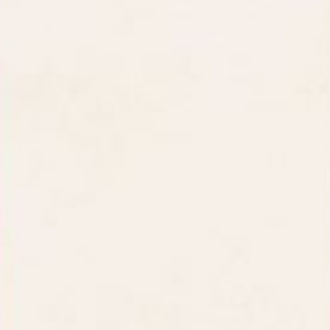 CUMIN LITE -  (600X1200) - GVT - CAR