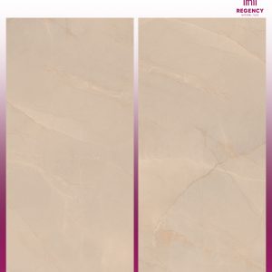 DESERT TAUPE  -  (600X1200) - GVT -  POLISHED - MATT