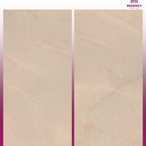 DESERT TAUPE  -  (600X1200) - GVT