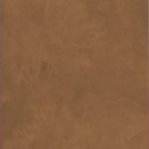 EARTHSTONE COFFEE -  (600X1200) - GVT - MATT