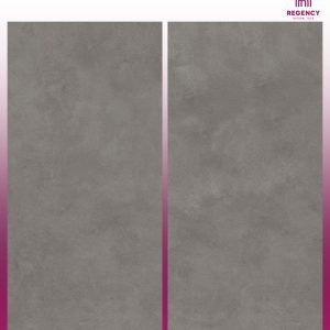 EARTHSTONE GREY -  (600X1200) - GVT - MATT
