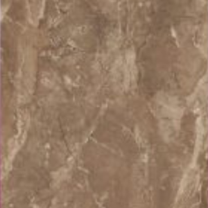 EMVISTA BROWN  -  (600X1200) - GVT -  POLISHED - CAR