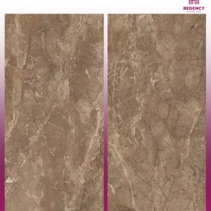 EMVISTA BROWN  -  (600X1200) - GVT -  POLISHED - CAR
