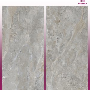 EMVISTA GREY -  (600X1200) - GVT - POLISHED