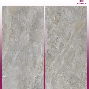 EMVISTA GREY  -  (600X1200) - GVT - MATT