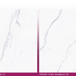 FROST FIRE MARBLE - (600X600) - GVT - POL - MATT
