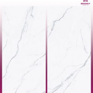 FROST FIRE MARBLE -  (600X1200) - GVT - POLISHED