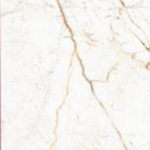 GOLDEN ODYSSEY - (600X1200) - GVT - POL - CAR - MATT