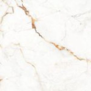 GOLDEN ODYSSEY - (600X600) - GVT - MATT