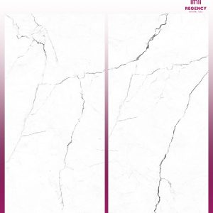 GREY ODYSSEY  -  (600X1200) - GVT -  POLISHED - MATT