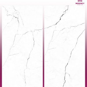 GREY ODYSSEY  -  (600X1200) - GVT - MATT