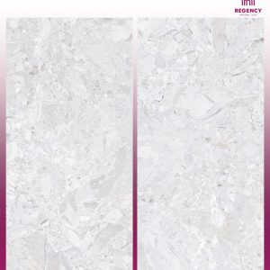 IGNEA STONE SILVER  -  (600X1200) - GVT -  POLISHED - MATT
