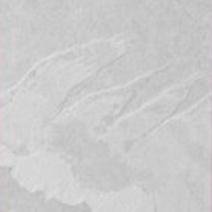 LUNAR ECHO BIANCO -  (600X1200) - GVT - MATT