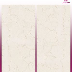 MOONSTONE ICE -  (600X1200) - GVT -  POLISHED - MATT
