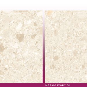 MOSAIC IVORY - (600X600) - GVT - MATT