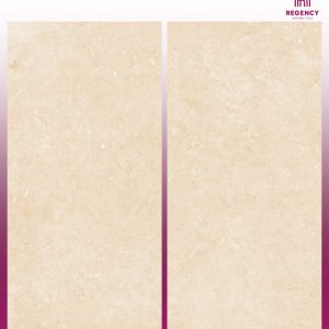 POLAR BEIGE  -  (600X1200) - GVT - MATT