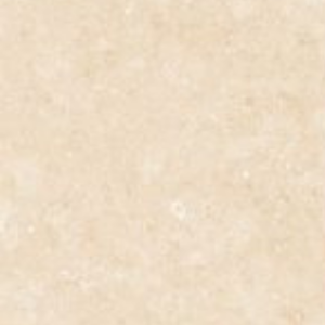 POLAR BEIGE - (600X600) - GVT - MATT