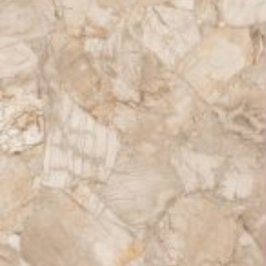 PRISM PETAL   - (600X600) - GVT - POL