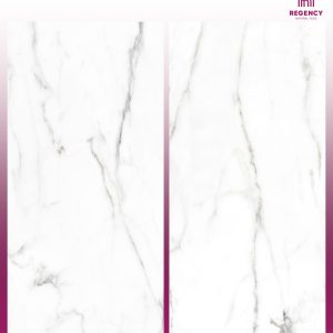 QUARTZ FROST  -  (600X1200) - GVT -  POLISHED - MATT