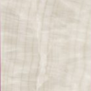 RAVEN BEIGE -  (600X1200) - GVT - POL