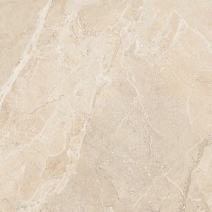 SEPIA BEIGE -  (600X1200) - GVT - POL