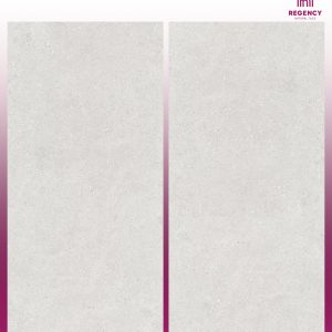 SESAME LITE -  (600X1200) - GVT - CAR