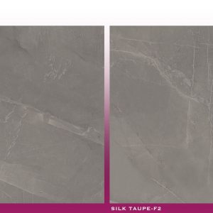SILK TAUPE - (600X600) - GVT - POL