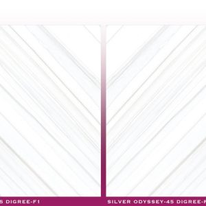 SILVER ODYSSEY - (600X600) - GVT - POL