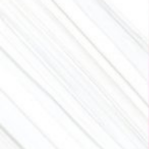 SILVER ODYSSEY - (600X600) - GVT - POL